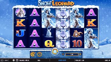 Snowy bingo casino Dominican Republic